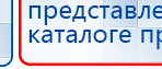 ЧЭНС-01-Скэнар-М купить в Электроугле, Аппараты Скэнар купить в Электроугле, Медицинский интернет магазин - denaskardio.ru